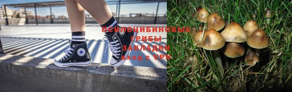 соль ск Абаза