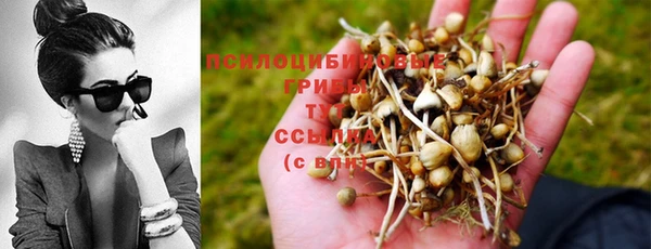 ПСИЛОЦИБИНОВЫЕ ГРИБЫ Алексеевка
